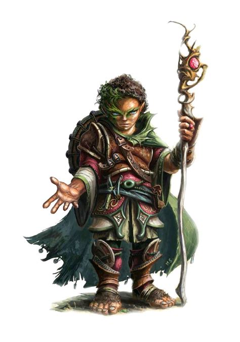 Male Halfling Druid Pathfinder Pfrpg Dnd D D D Fantasy Dungeons