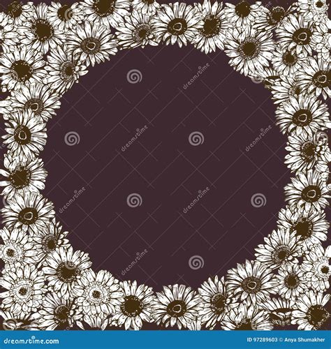 Floral Frame Of Detailed Hand Drawn Daisies Flowers Vector