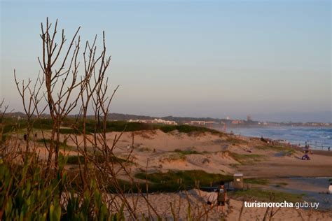 Забронировать апартаменты depto la serena playa в кокимбо онлайн. Playa La Serena en La Paloma, donde familias y jóvenes ...