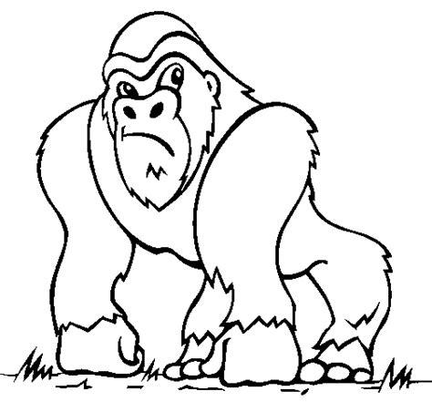 Gorilla coloring page - Coloringcrew.com