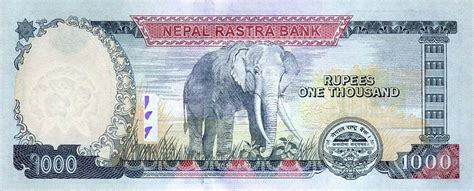 Dollar to indian rupee historical exchange rates conversion page. RealBanknotes.com > Nepal p75a: 1000 Rupees from 2013