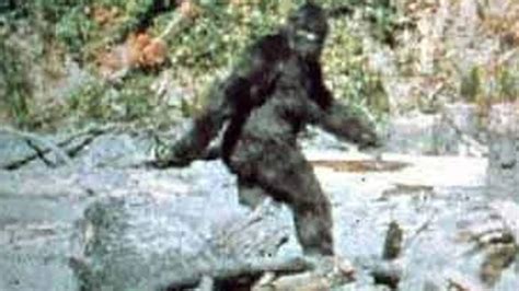 Declassified Bigfoot Fbi Documents Reveal Nature Of The Beast
