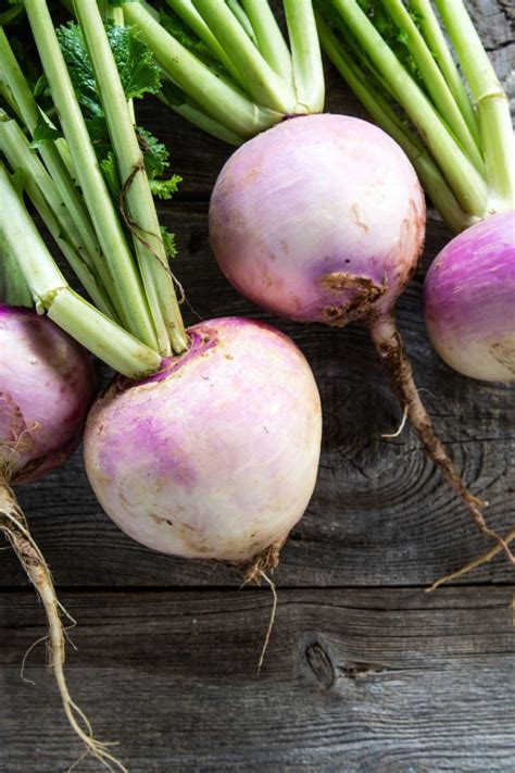 Turnips Health Benefits Nutrition And Dietary Tips