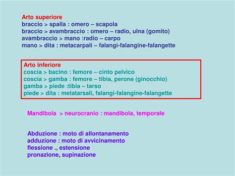 PPT - Movimento e articolazioni PowerPoint Presentation ...
