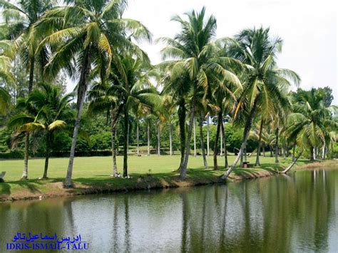 Perak is a state of malaysia on the west coast of the malay peninsula. IdrisTalu: Taman Herba Perak