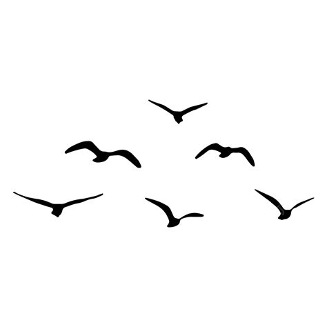 Burung Terbang Penerbangan Burung Burung Burung Png Dan Vektor