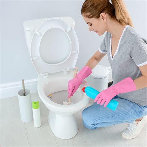 How To Clean A Toilet Hero Healthgistnet