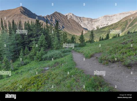 Highwood Pass In Peter Lougheed Provincial Park Alberta Canada Stock