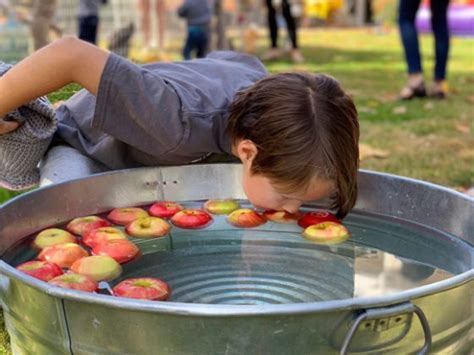 Spotted Apple Bobbing Success At Fun Harvest Festival Inmenlo