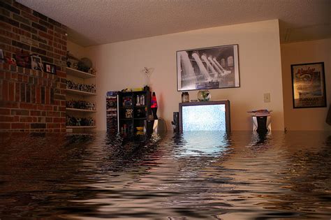 My Upstairs Neighbor Flooded My Apartment