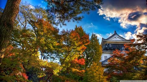 We have a massive amount of desktop and mobile backgrounds. Download Japanese Castle Autumn Wallpaper 1920x1080 ...
