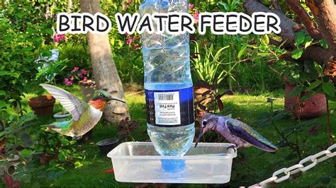 Simple Homemade Bird Water Feeder How To Make A Bird Water Feeder
