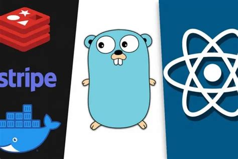 React NextJS And Golang A Rapid Guide Advanced