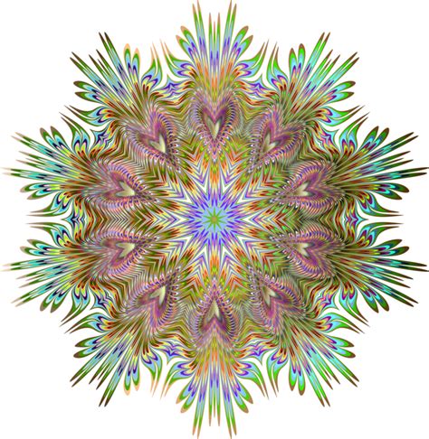 Organismsymmetrykaleidoscope Png Clipart Royalty Free Svg Png