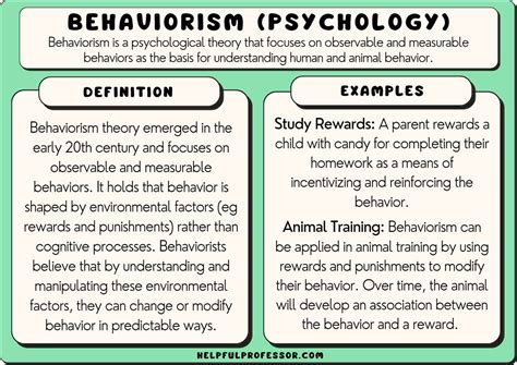 Behaviorism Skinners Education Learning Theory 27 Facts 2024
