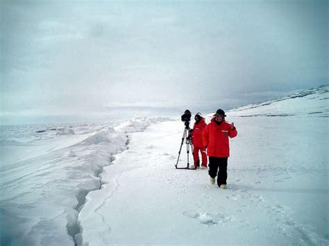 Herzog's voiceover narration explains that his film will not be a typical antarctica film about fluffy penguins. SCONFINAMENTI - "Encounters at the End of the World", di ...