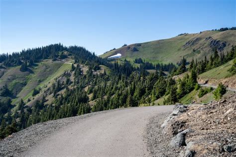 The Wide Paved Hiking Trail At Hurricane Hill In Olympic National Park
