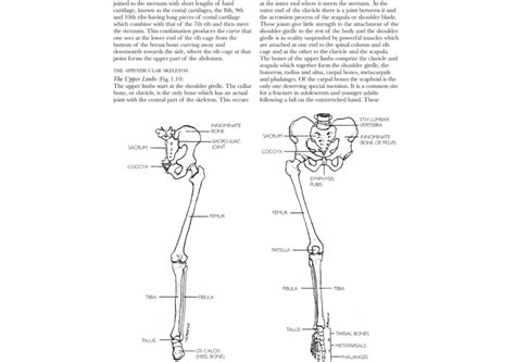Anatomy, Dance Technique and Injury Prevention | Ballet News | Straight