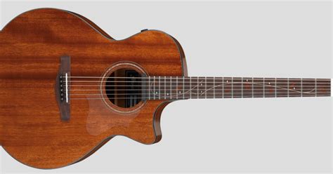 Am i owed an exemption for sales tax and transient occupancy tax etc?… read more. theGUITARaddict: Ibanez: AE295