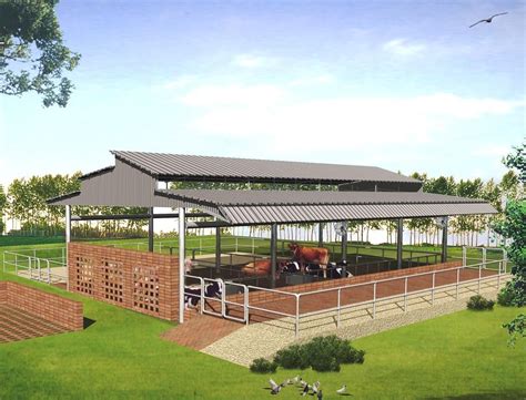 Cow Shed Design For 50 Cows Livestock Info