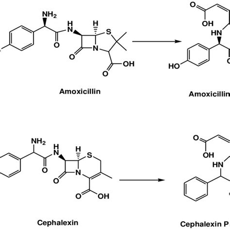 Pdf Antibacterial Activity Of Novel Prodrugs Of Amoxicillin And