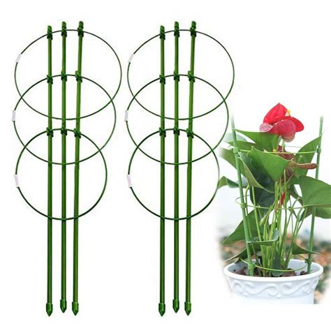 Buy Reusable Small Flower Support Cage 60cm24inch Cage Trellises Stake