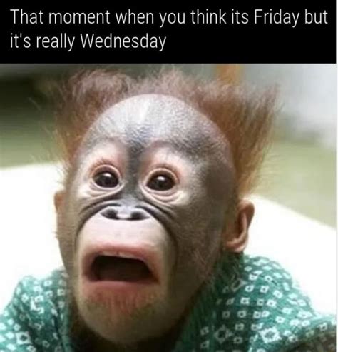That Moment When You Think Its Friday But Its Really Wednesday Ifunny
