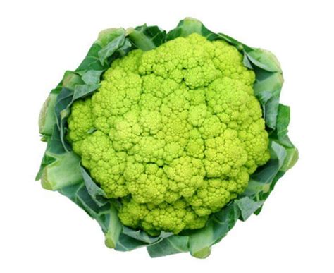 Green Cauliflower At Rs 70kilogram Cauliflower Id 8909949848