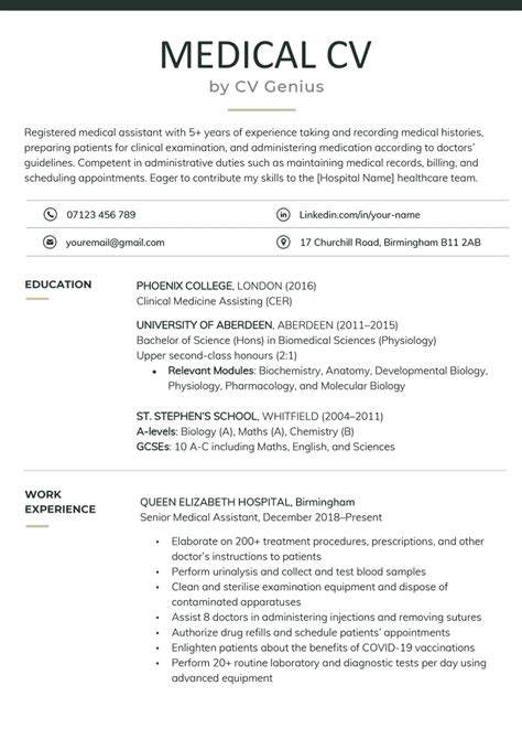 Medical Cv Template And Writing Tips For 2024