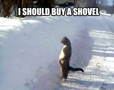 16 Epic Snow Shoveling Memes To Help You Laugh Through The Pain Of