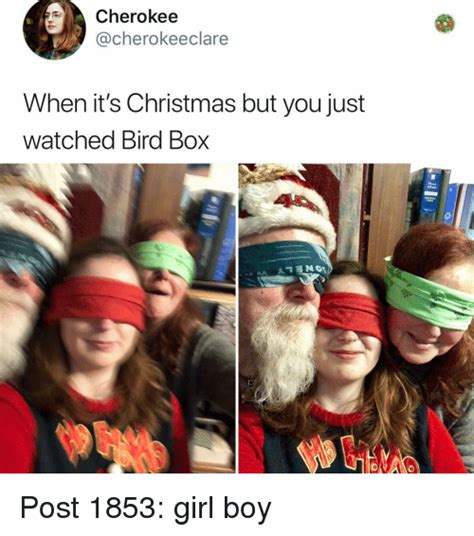 top 33 bird box memes that put internet on fire viralmadness bird boxes movie memes memes