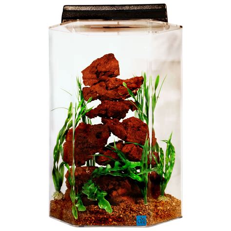 Seaclear 20 Gallon Hexagon Tank Fish Aquariums Petsmart