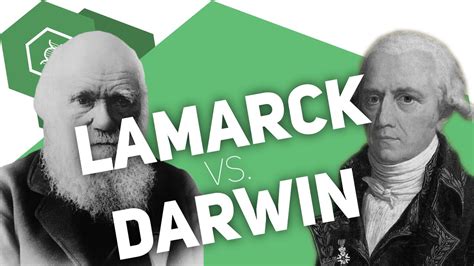 Darwin Vs Lamarck Der Vergleich Der Evolutionstheorien Youtube