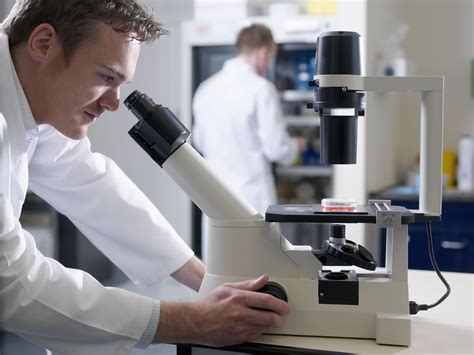 Different types of leukemia can cause different problems. Chronic Myeloid Leukemia Symptoms and Prognosis