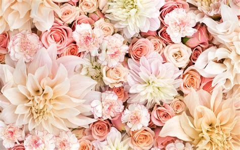 Cute Floral Desktop Wallpapers Top Free Cute Floral Desktop