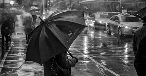 We did not find results for: Morning Rain