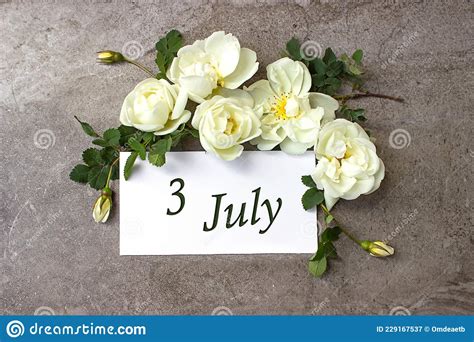 July 3rd Day 3 Of Month Calendar Date White Roses Border On Pastel