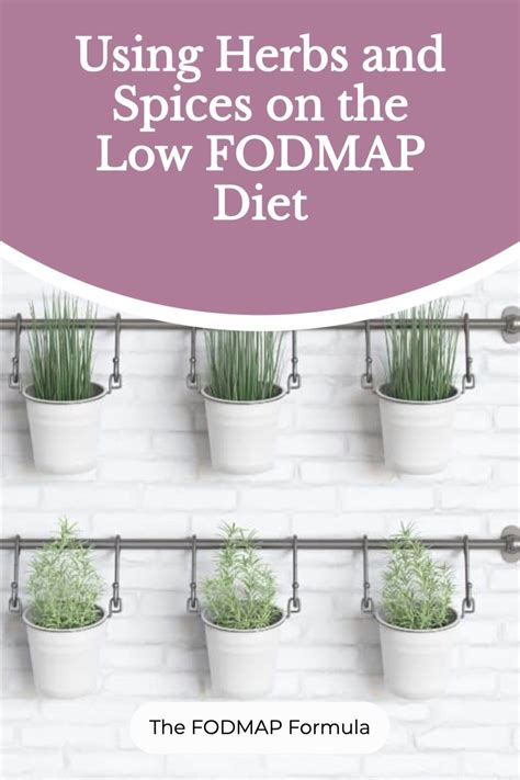 add some flavour to your fodmap friendly meals with these simple low fodmap herbs and spices