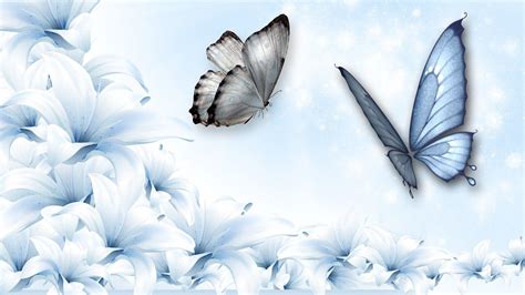 Butterfly Blue Abstract Wallpapers Top Free Butterfly Blue Abstract
