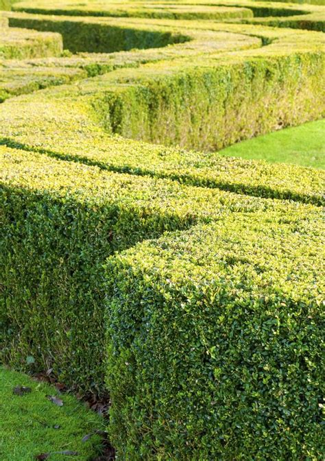 412 Curved Hedge Stock Photos Free And Royalty Free Stock Photos From