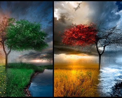 Free Download 1280x1024px Fall Winter Wallpaper Background 1280x1024