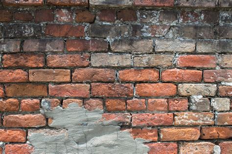 More images for how to get rid of plaster bagworms on exterior walls » The Stages of Dry Rot - One Stop Plastering