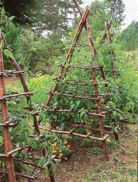 Tomatoes Cucumbers Melon Squash Садовые идеи Идеи