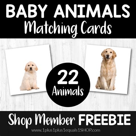Mommy And Baby Animals Matching Printables Free 1111