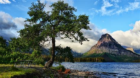 Wallpaper Tree Lake Mountains Nature Landscape