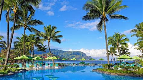 Hawaii Hotel Mountain Palm Tree Pool Resort With Reflection Hd Travel