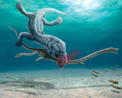 「アキレスの首」 首の長い爬虫類が捕食者によって首を切られたことが化石から明らかになった