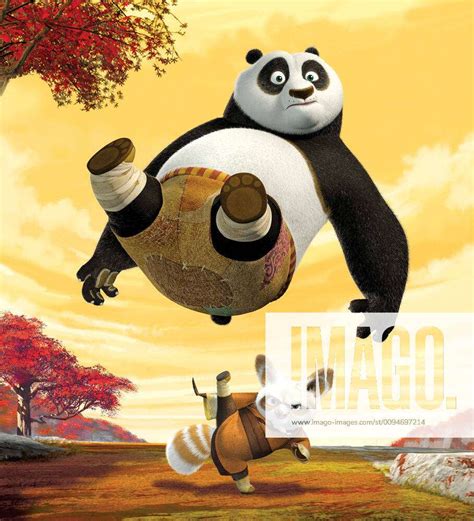 Po The Panda Master Shifu Film Kung Fu Panda Usa Director