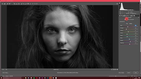 Video Tutorial The Art Of Portrait Retouching Black And White