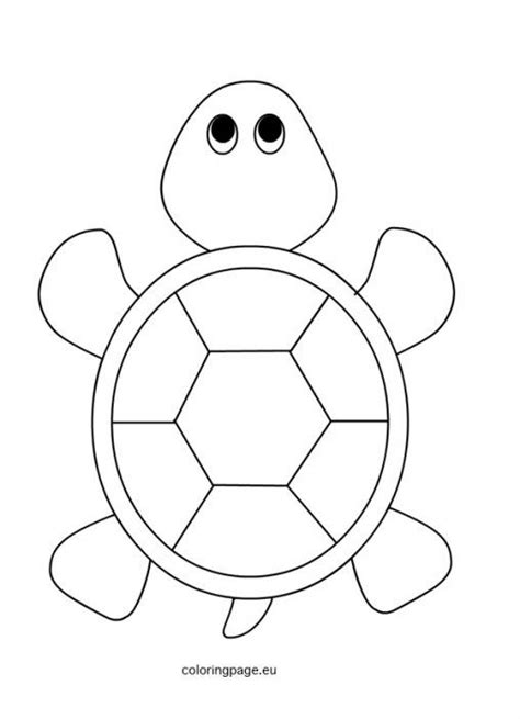 Turtle Preschool Modelli Con Animali Disegni Da Ricamare Gratuiti